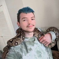 Aleks King