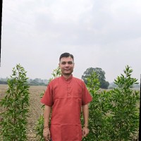 Sahaj C Joshi