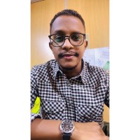 Nasr Ibrahim