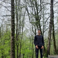 Bahram Soltani