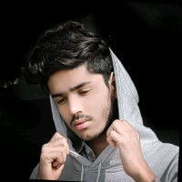 Anas Alvi