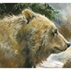 Little Bear Interiors