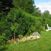 Iñaki Eguzkitza Igartua