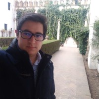 Cristian Dario Castillo Robayo