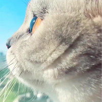 何文辉