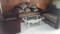 Ari Joe