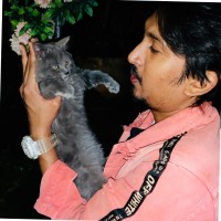 Zeeshan Shaikh
