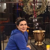 Farnaz Ansari