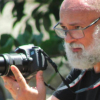 Vicente Ardito Junior