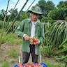 Luận Lê