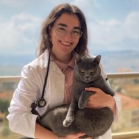 Nour Najjar, Md