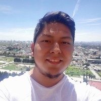 Edgar Andres Vargas Mora