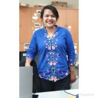 Rieke Meini S.
