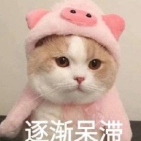 孔祥瑞
