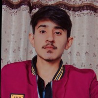 Ziad Malik