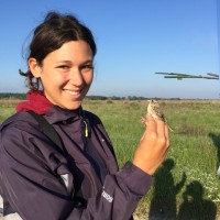 Adrienne Fitzwilliam