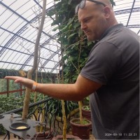 Sebastiaan Bams