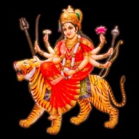 Ajay Rajvanshi