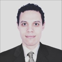 Muhammad Elnaggar