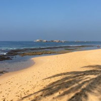 Nishan Wanniarachchi