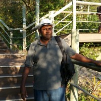 Rex Vaheesan