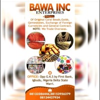 Bawa INC