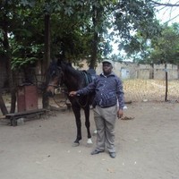 Ir Joseph Ceco Consulting