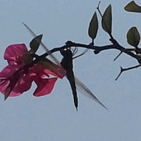 张长东