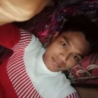 Haryadi Yadi