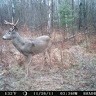 Hunter Balog