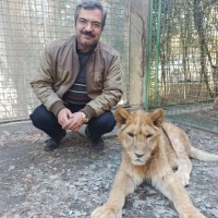 Amir Ali Daee