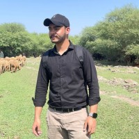 Ayan Riaz
