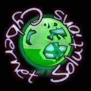 Cybernet Solutions Inc