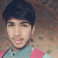 Vinay S