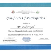 Sayed Z Hussain