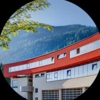 Moser Holzindustrie GmbH