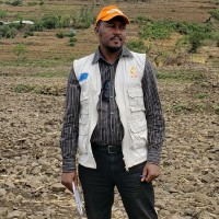 Melaku Girma