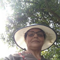 Vijaya Darbari