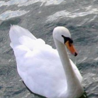 BLANDUREAUmotdepasse Chantal