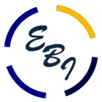Evolve Business Intelligence