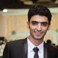 youssef elmassry