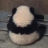 孙宏睿