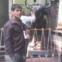 shravan rathod