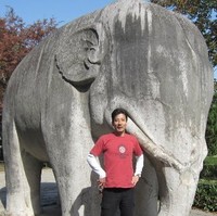 英明藤本