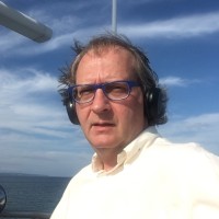 SG TREE ART RUGS/ ART GALLERIES