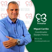 Miguel Carrillo Medina