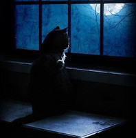 Sherry Tobias