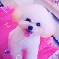 Wendy Yuan