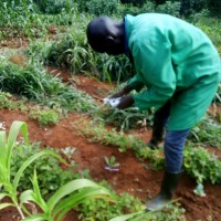 Samwel Okello