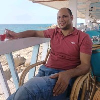 Osama Zaghlol